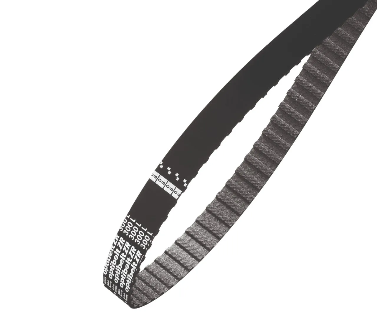 Cinghia sincrona OPTIBELT, 56 denti, passo 31.75mm, dimensioni 70poll x 2poll