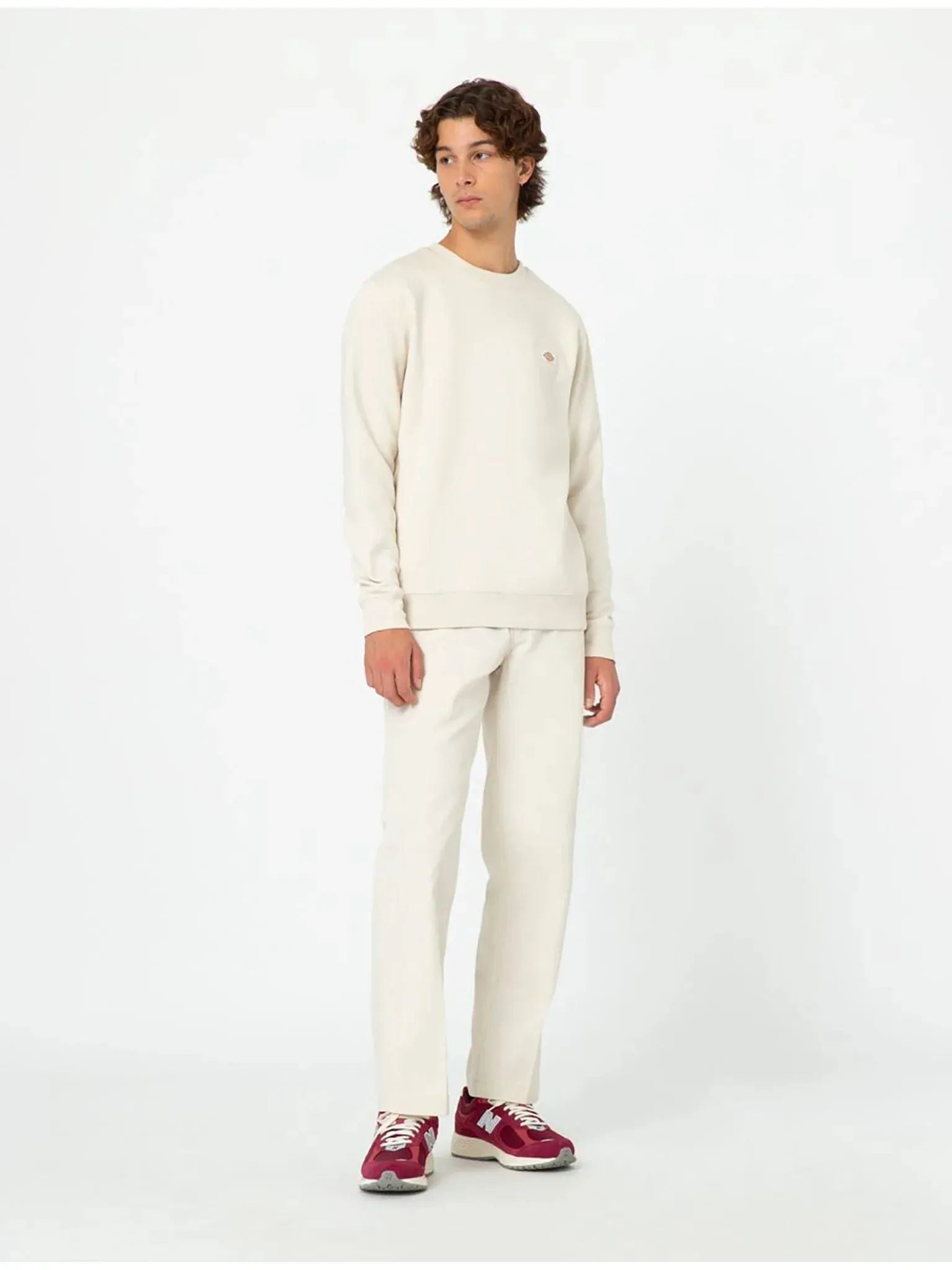 Dickies Uomo Pantalone 874 work DK0A4XK6F901