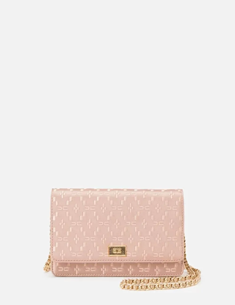 Elisabetta Franchi     Wallet on chain in raso ricamato Carne