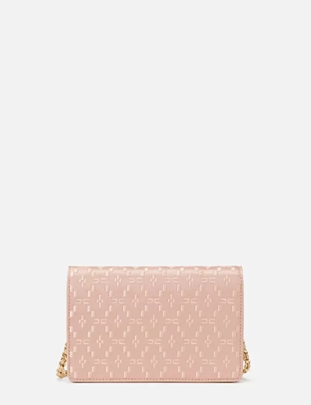 Elisabetta Franchi     Wallet on chain in raso ricamato Carne