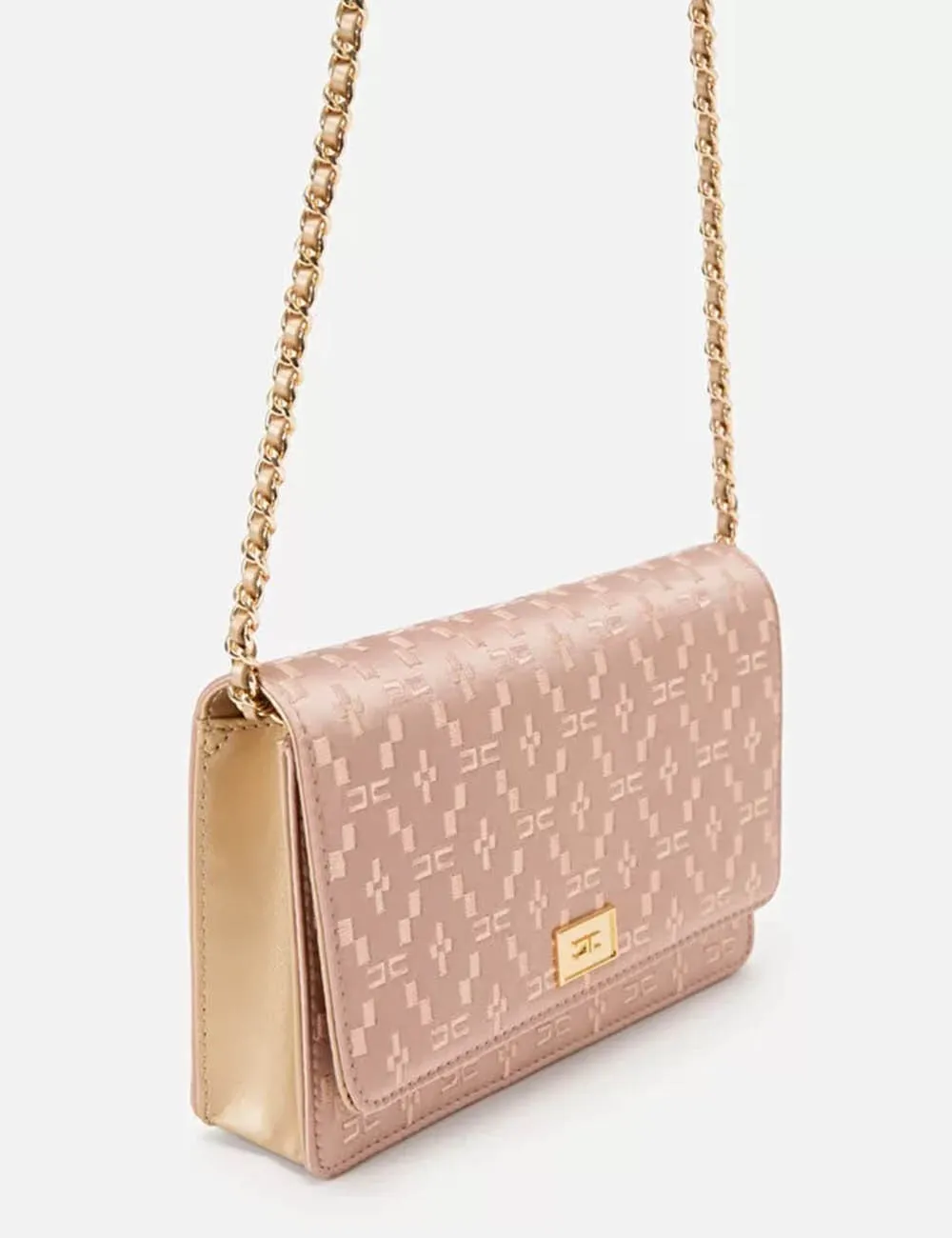 Elisabetta Franchi     Wallet on chain in raso ricamato Carne
