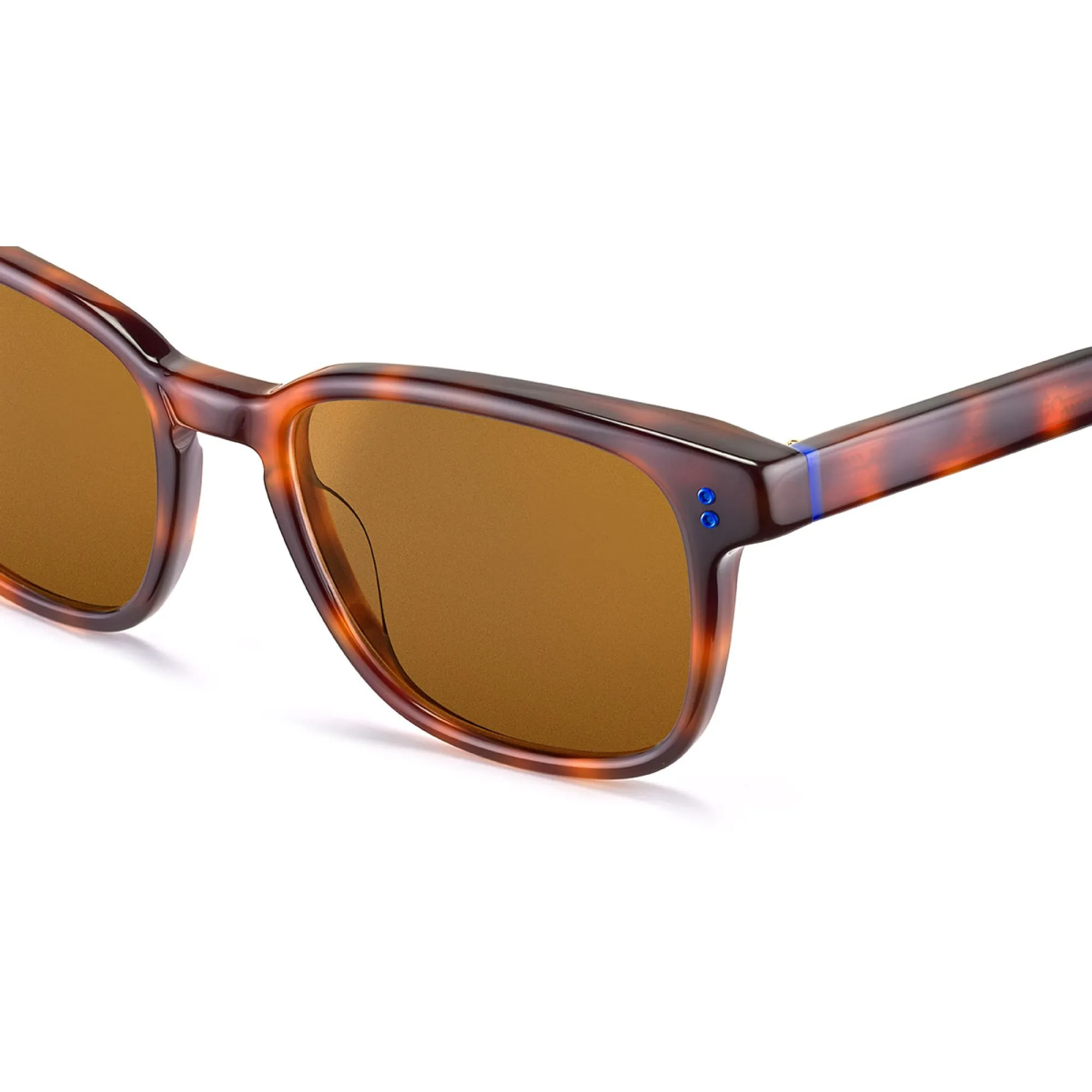   Etnia Barcelona ORSON - HVBL Avana/blu | Occhiale Da Sole Uomo 