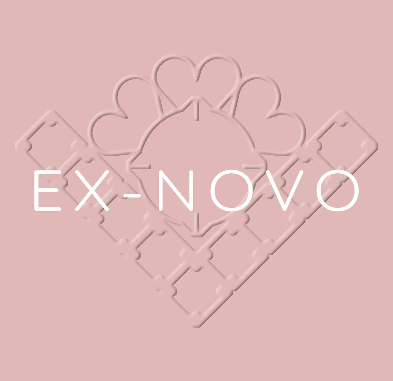 EX-NOVO