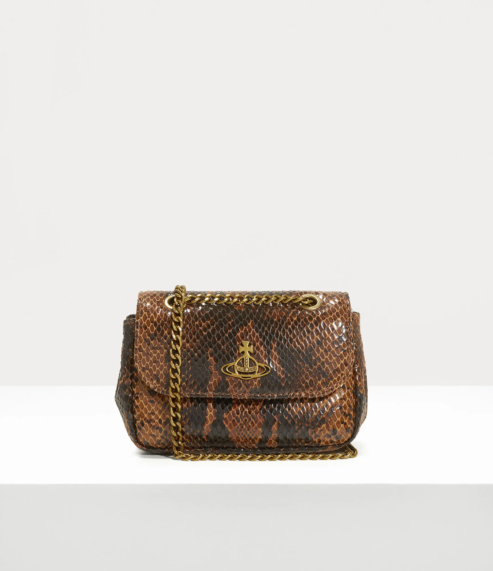 Small Purse With Chain  
