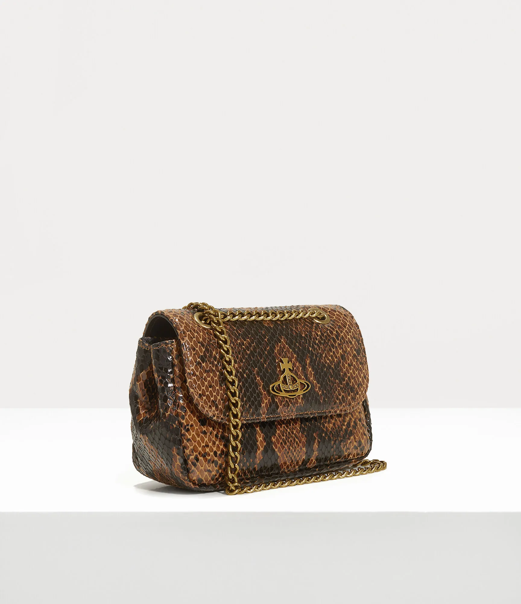 Small Purse With Chain  